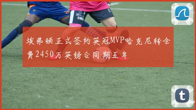 埃弗顿正式签约英冠MVP哈克尼转会费2450万英镑合同期五年