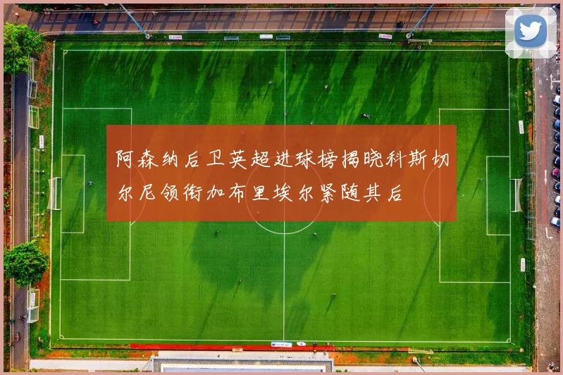 阿森纳后卫英超进球榜揭晓科斯切尔尼领衔加布里埃尔紧随其后